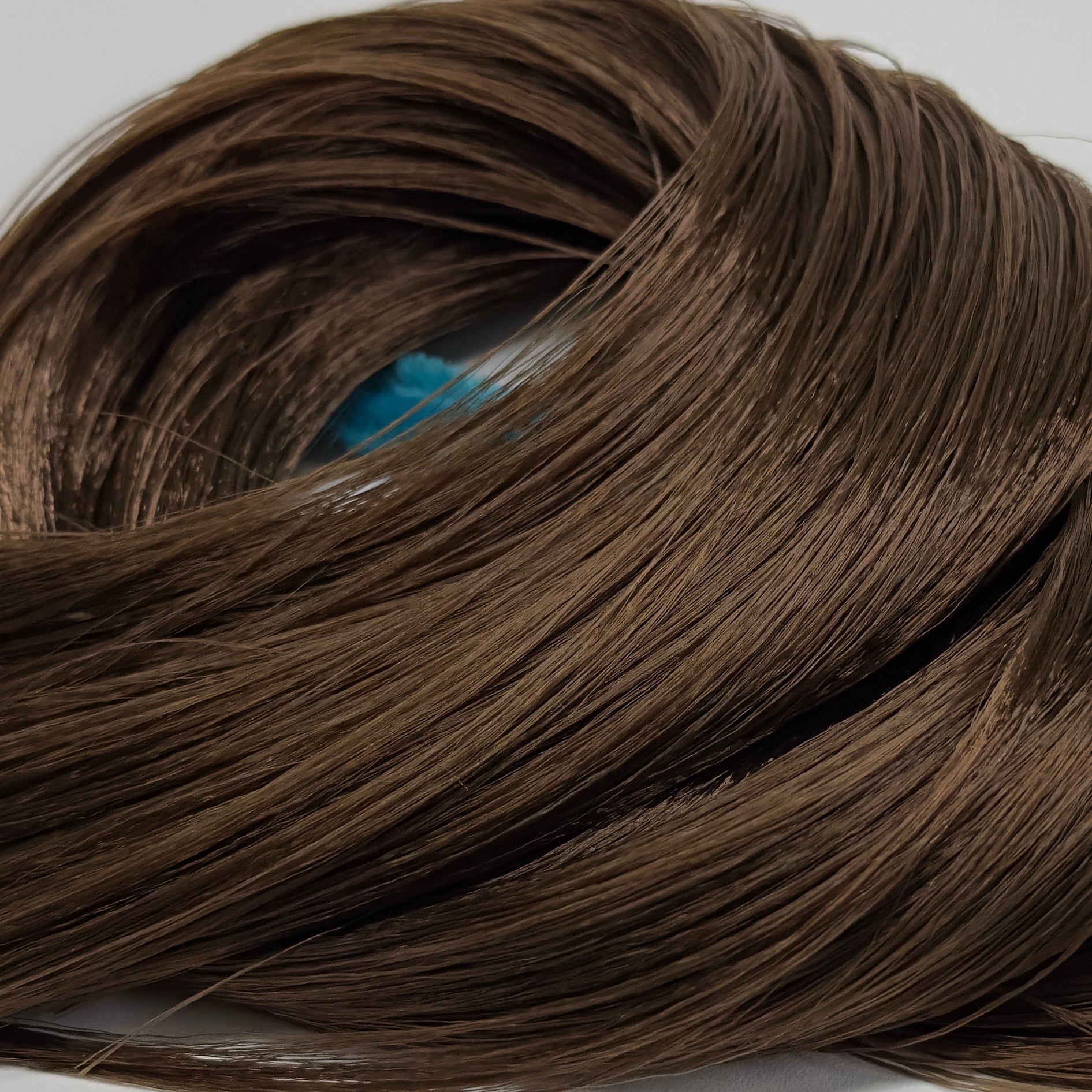 3C27A236-DB39-4B8D-91D2-